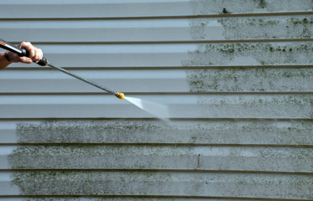 Best Attic Mold Removal  in Auburn, WA