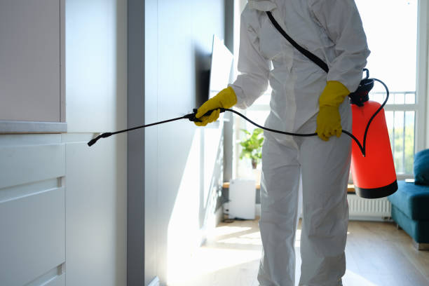 Reliable Auburn, WA Mold Removal Solutions