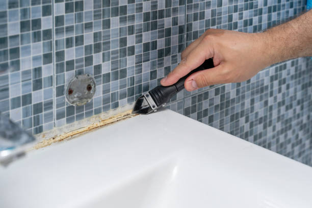 Best Mold Cleaning Services  in Auburn, WA